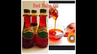 Carotino Red Palm Oil Best Oil for your Health [upl. by Buffo895]