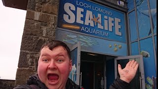 Sea Life Loch Lomond VLOG  Complete Walkthrough Experience  SJBBVideos [upl. by Reidid]