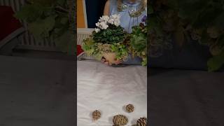 diezürcherin Horn fillet Plant bowl decoration for outside short shorts diy [upl. by Kath]