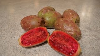 How to Prepare amp Eat Prickly Pears  aka Opuntia Cooking with Kimberly [upl. by Munsey]