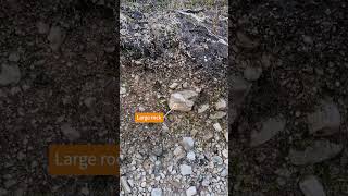 Glacial Deposits  Example and Explanation education science engineering [upl. by Anolla616]