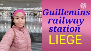 Liege Belgium  Guillemins Railway Station  Luik Belgie treinstation [upl. by Atniuq514]