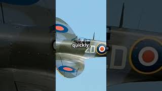 Spitfire vs Zero Epic Pacific Dogfights history aviation [upl. by Hendricks977]