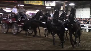 6 Horse Hitch  Mid America Trotting Sale 2022 [upl. by Osbourne]