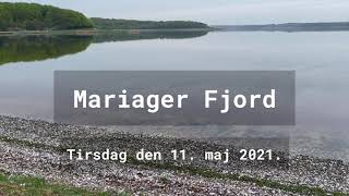 Mariager Fjord i dis og skum [upl. by Kloman]