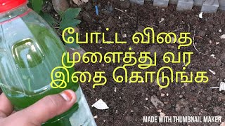 SEED STARTER Liquid fertilizer for SEEDLINGS [upl. by Normand421]