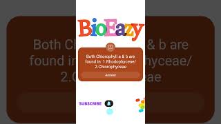 Chlorophyll a and b are found in 1 Rhodophyceae 2Chlorophyceae bioeazy amitsir neetbiology [upl. by Shelbi]