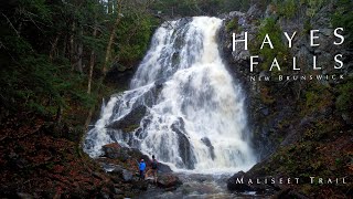 Hiking the Maliseet Trail to Hayes Falls  New Brunswick [upl. by Innattirb]