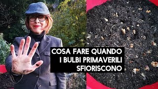 Cosa fare quando i bulbi primaverili sfioriscono [upl. by Trust885]