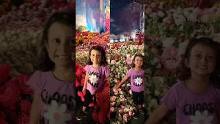 Flower show thrissur trendingshorts flowers [upl. by Resaec]