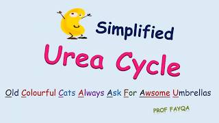 Urea Cycle Mnemonics [upl. by Llenoil]