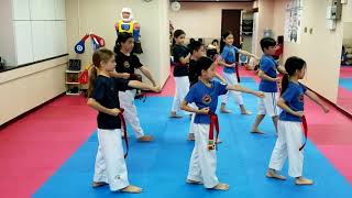 Taekwondo  Poomsae 1 Shek Tong Tsui School  Students [upl. by Ernestine]