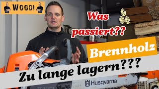 Brennholz zu lange lagern  Was passiert Brennholz kaminholz [upl. by Kilam]