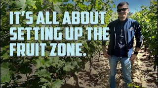 Bastien Lucas from Marciano Estate Talks quotFruit Zonequot [upl. by Polish]