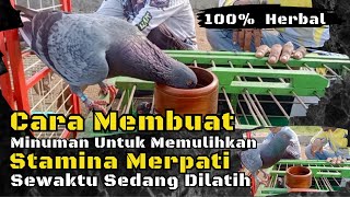 MEMBUAT MINUMAN UNTUK MEMULIHKAN TENAGA MERPATI DENGAN CEPAT [upl. by Ynatterb]