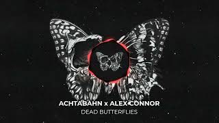 ACHTABAHN x ALEX CONNOR  DEAD BUTTERFLIES OFFICIAL VISUALIZER [upl. by Stesha]