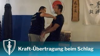 KraftÜbertragung beim Schlag  Systema Berlin [upl. by Hegyera908]