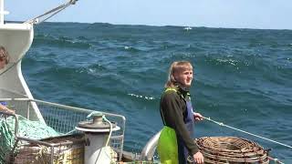 CRAYFISHING ON THE WESTCOAST OF TASMANIA NEW SHELLERS 2023 [upl. by Elwyn477]