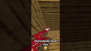 Technoblade last goodbye 😔 SabbirYT8832 Viral technoblade Minecraft [upl. by Hashim910]