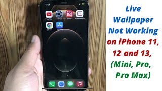 Live Wallpaper Not Working on iPhone 11 12 and iPhone 13 Series [upl. by Marsiella]