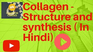 Biochemistry Collagen structure and synthesis HINDI [upl. by Laina]