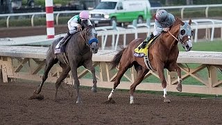 BREEDERS CUP CLASSIC 2016  ARROGATE  FULL STORY [upl. by Ahsemrac]