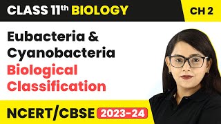 Eubacteria amp Cyanobacteria  Biological Classification  Class 11 Biology Chapter 2  NCERTCBSE [upl. by Anircam]