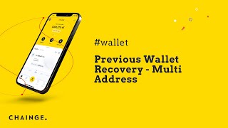 Previous Wallet Recovery [upl. by Stein]