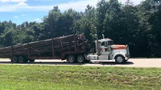 Western Star logging truck Kenworth W900 day cab logging truck [upl. by Arjun828]