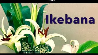 How to make ikebana flower arrangement ikebana basic arrangement tutorial [upl. by Ayotl]