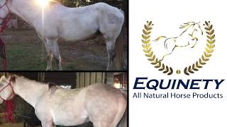 Equinety 30 Day Challenge [upl. by Micheline]