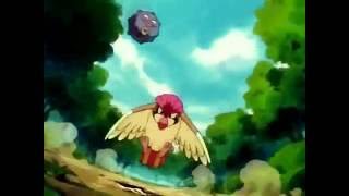 POKEMON Pidgeotto VS Ekans and Koffing qualite HD [upl. by Nnylekoorb]