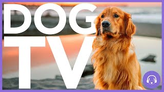 15 Hour Dog TV  AllNew Adventure Experience for Dogs 🐶 [upl. by Schlessel1]