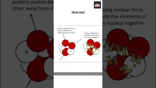 Nucleus of an Atom  basic chemistry  nucleus  nucleon [upl. by Denny466]