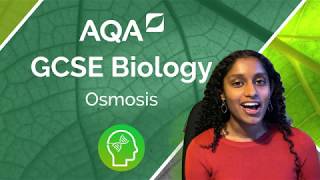 AQA A Level Biology Osmosis [upl. by Ycniuqal]