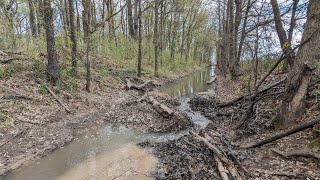 Knocking a Hole in a Massive Beaver Dam  Unclogging Beaver Dam Removal [upl. by Niwled]