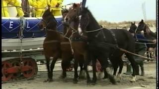 Paarden Reddingboot Ameland [upl. by Gish]