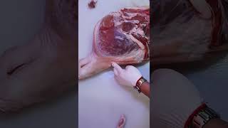 Pork hind leg boneless cut 1 [upl. by Yrrat]