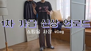 쇼핑몰 사장 vlog  주문 0건이지만 울지않아  1차 가을 신상 업로드ing  동대문 사입  신상마켓  포장 돌돌이 [upl. by Hirsch]