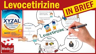 Levocetirizine 5 mg  Xyzal  What is Levocetirizine Used For Dosage Side Effects amp Precautions [upl. by Ilojna912]