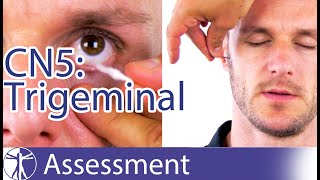 Cranial Nerve 5 Examination  Trigeminal Nerve Assessment for Physiotherapists [upl. by Dayle]