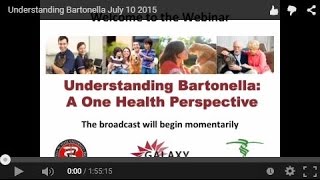 Understanding Bartonella July 10 2015 [upl. by Nissa]