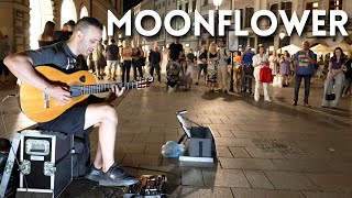 Moonflower  Carlos Santana  Cover by Imad Fares  Spanish Guitar Performance in Cracow 1 [upl. by Shuman872]