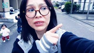 en Japon hay perros callejeros Nos engañaron  videoblogjapon [upl. by Virge]