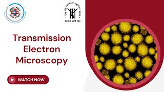 Transmission Electron Microscopy [upl. by Melena998]