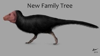 The New Dinosaur Family Tree Explained [upl. by Croteau740]