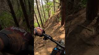 New Grade 59 Deadfall Creekside Riverhead Auckland NZ mtb mtblife [upl. by Ahsirt]