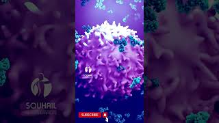 An ulcer being targeted by antibodies [upl. by Eiramac]