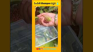 Shampoo మొక్క పిండితే shampoo వస్తది Great Telugu Animuthyalu facts india plants shampoo [upl. by Siloum989]