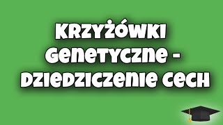 Krzyżówki Genetyczne  Dziedziczenie Cech  Biologia klasa 8 [upl. by Fonsie]